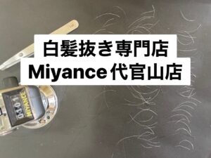 白髪抜きミヤンセ代官山店白髪抜き20分コース101本（東京都中央区日本橋在住）