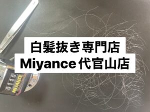 白髪抜きミヤンセ代官山店白髪抜き20分コース110本（東京都台東区御徒町在住）