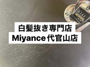 白髪抜きミヤンセ代官山店白髪抜き50分コース248本（東京都中央区日本橋小伝馬町在住）