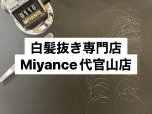 白髪抜きミヤンセ代官山店白髪抜き20分コース110本（東京都千代田区霞が関在住）